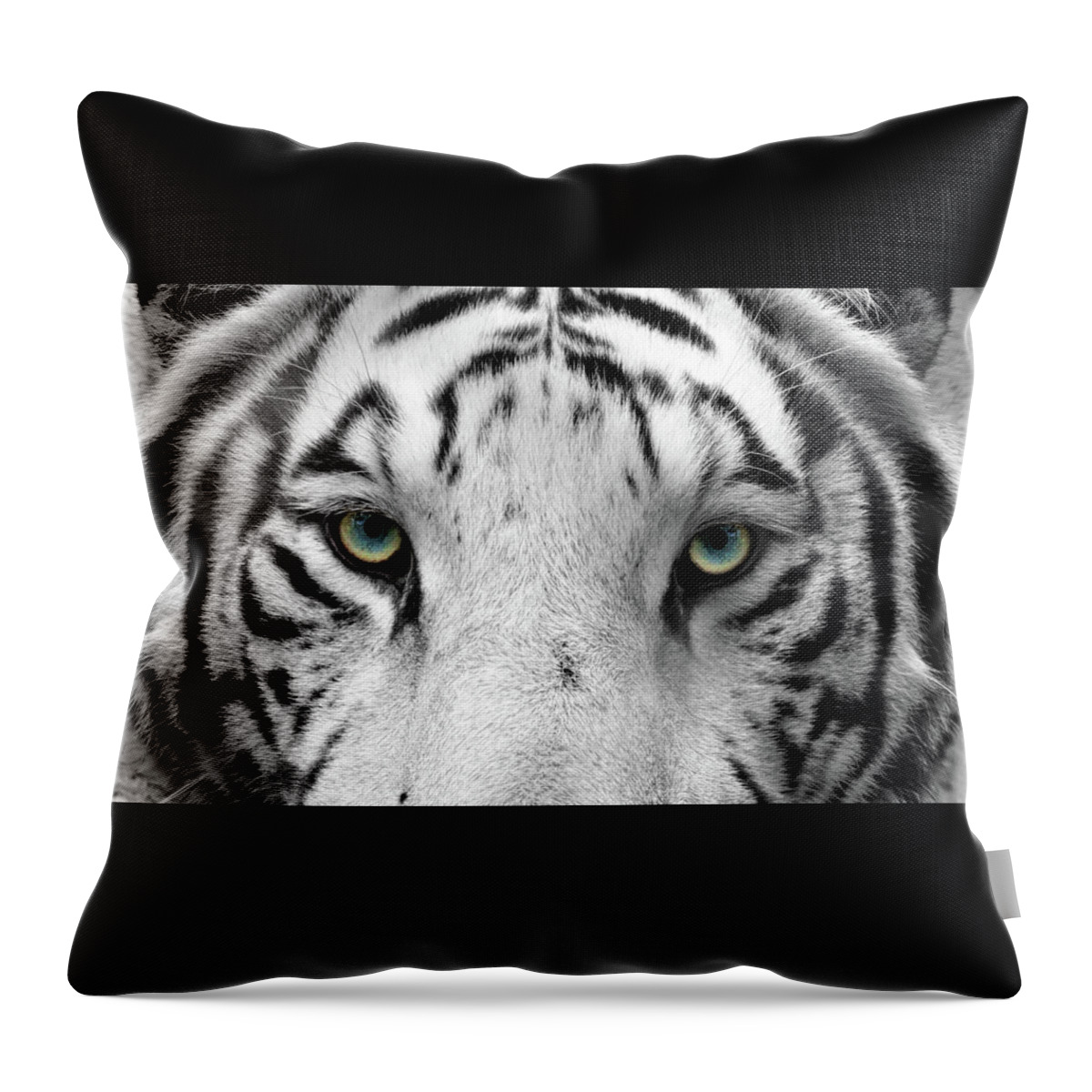 Bengal Tigers Throw Pillow featuring the photograph Tzatziki Eyes by Susan Rissi Tregoning