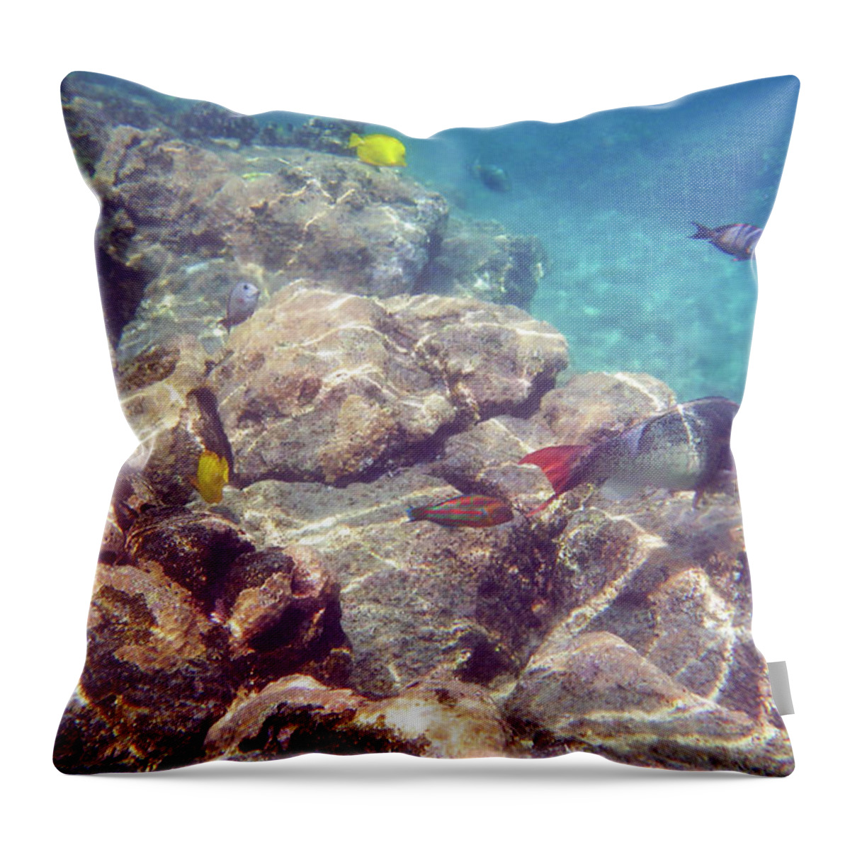 Fish Throw Pillow featuring the photograph Underwater Beauty #1 by Karen Nicholson