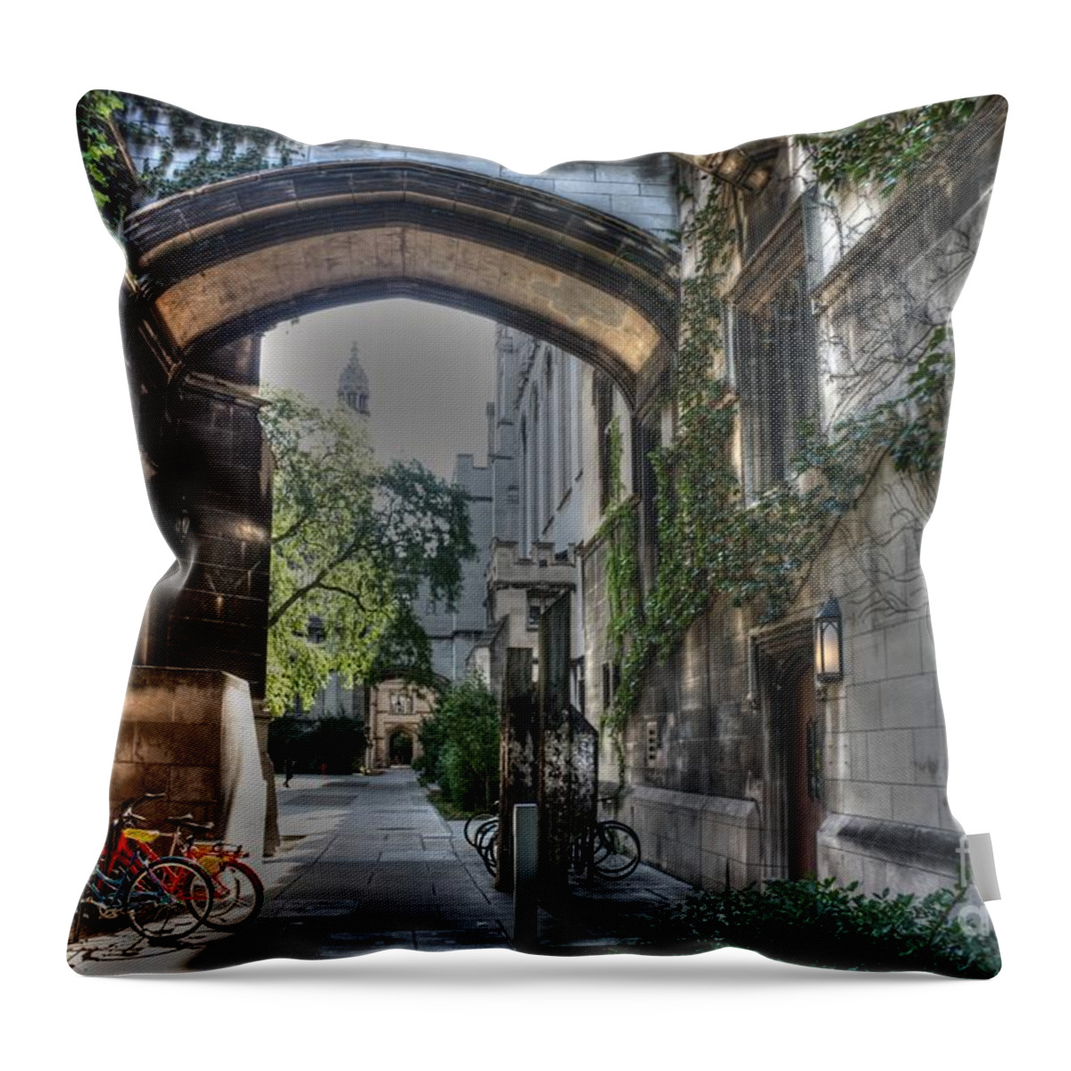 University Of Chicago Throw Pillow featuring the photograph University of Chicago #2 by David Bearden