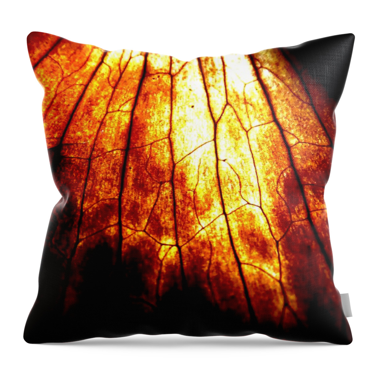 Vertical Throw Pillow featuring the photograph Vertical #1 by Tim Townsend