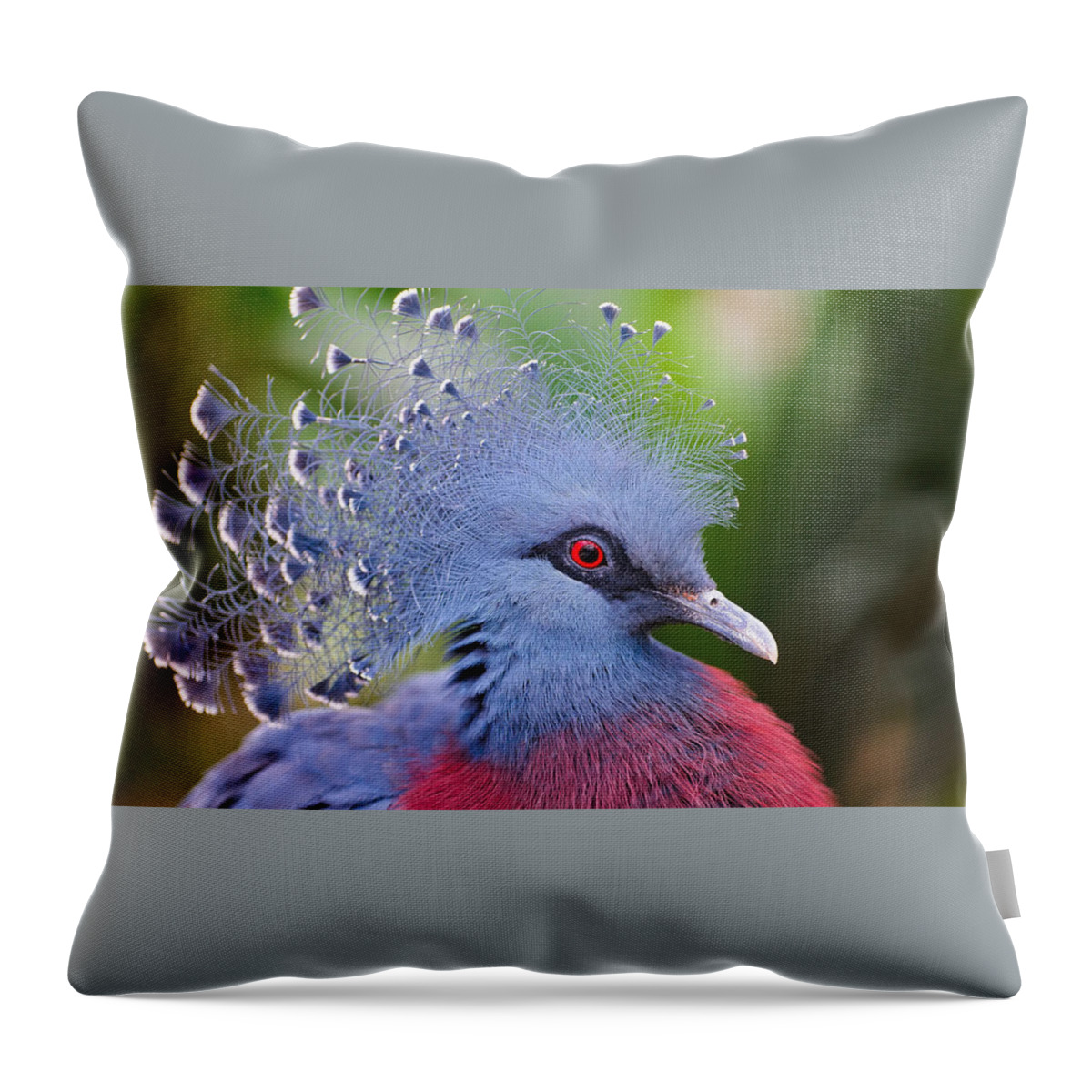 Victoria Crowned Pigeon Throw Pillow featuring the photograph Victoria Crowned Pigeon #1 by Mariel Mcmeeking