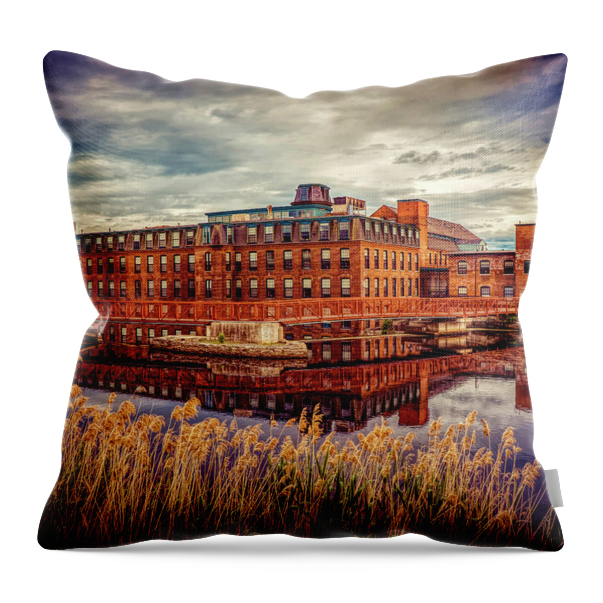 Vintage Building Throw Pillow featuring the photograph Vintage building #2 by Lilia S