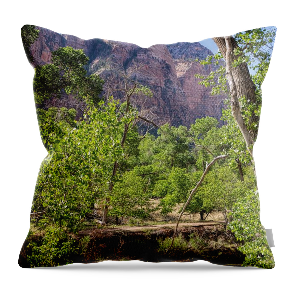 Utah Throw Pillow featuring the photograph Virgin River at Zion #1 by Peggy Hughes