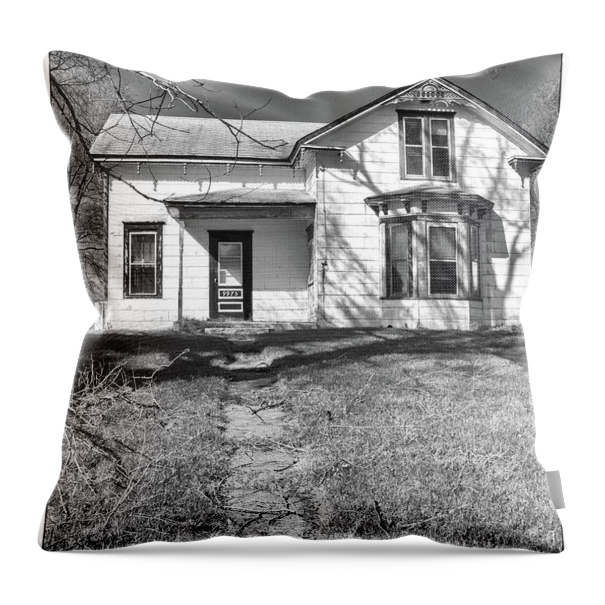 Barn Throw Pillow featuring the photograph Visiting the Old Homestead by Guy Whiteley