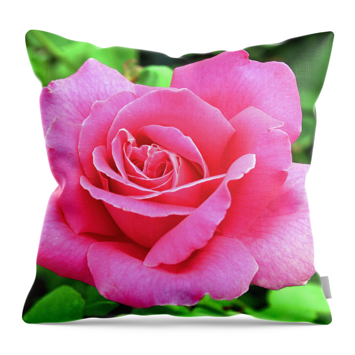Rose Throw Pillow featuring the photograph Vivid pink #1 by Ellen Tully