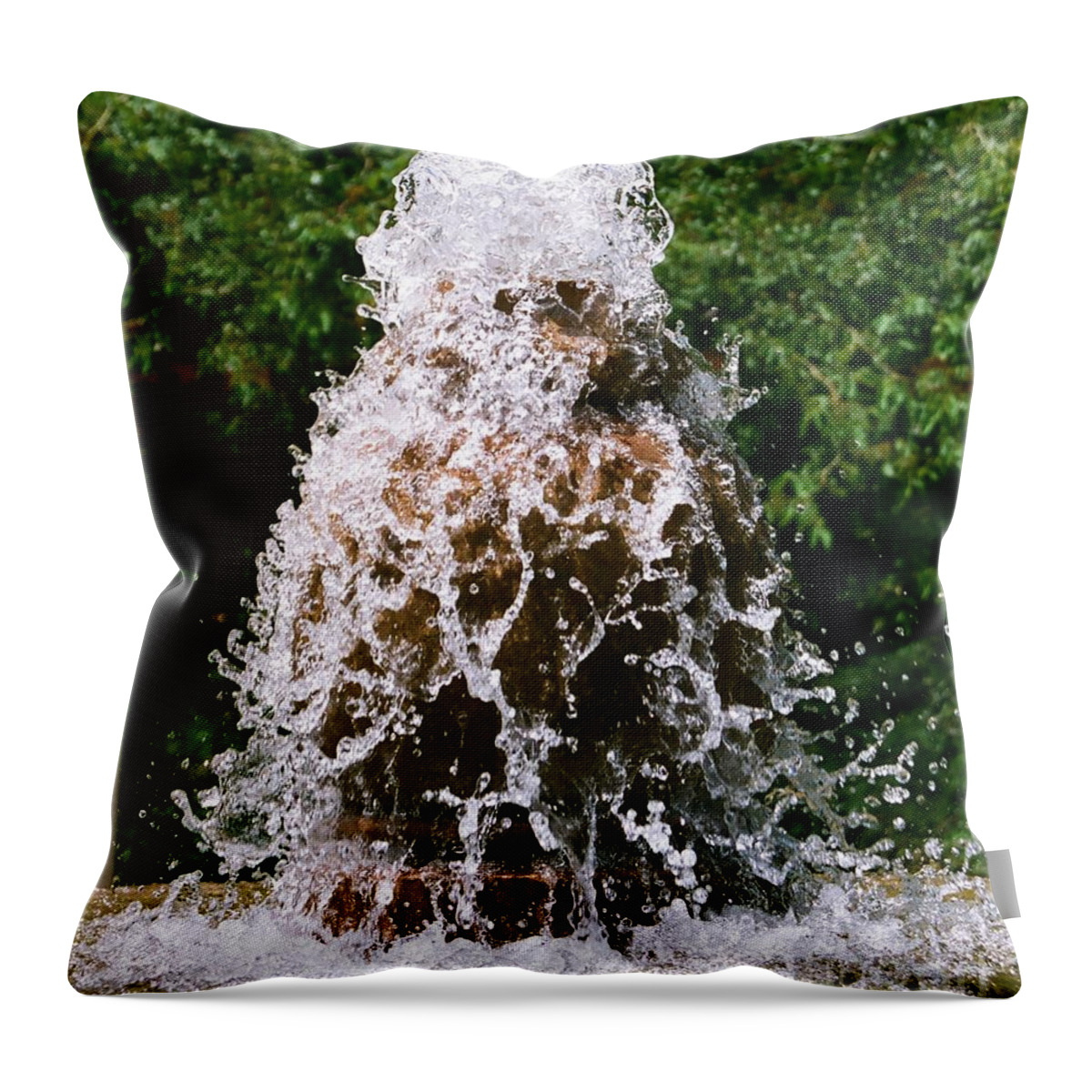 Water Throw Pillow featuring the photograph Water Fountain #1 by Dean Triolo
