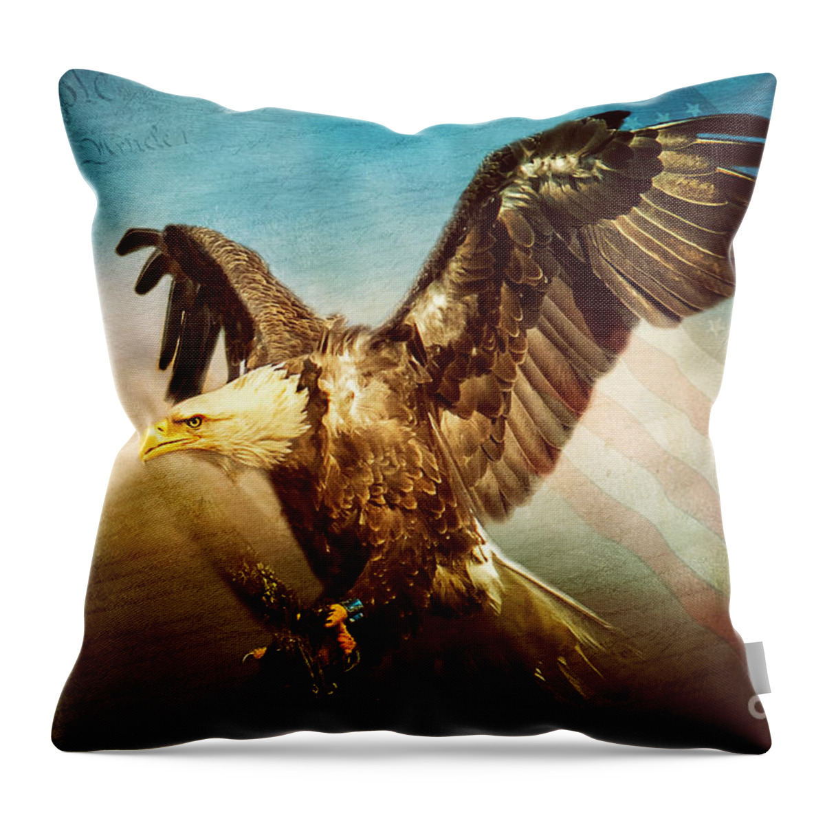 Eagle Throw Pillow featuring the photograph We The People #1 by Eleanor Abramson