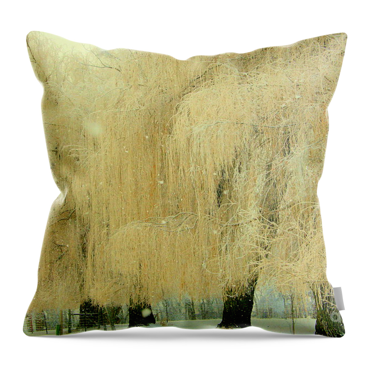 Trees Throw Pillow featuring the photograph Weeping #1 by Julie Lueders 
