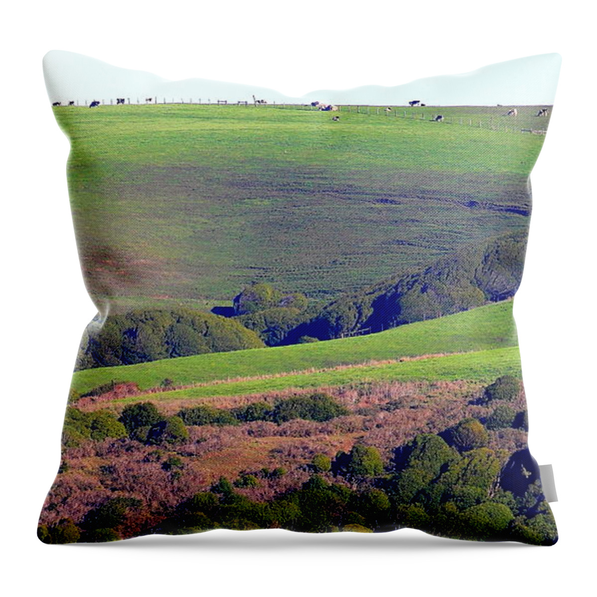 Landscape Throw Pillow featuring the photograph When the Cows Come Home #1 by Wingsdomain Art and Photography