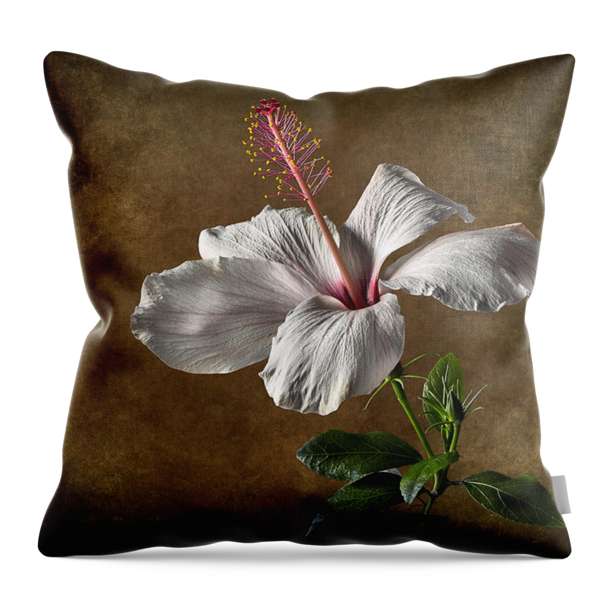 White Hibiscus Throw Pillow featuring the photograph White Hibiscus #1 by Endre Balogh