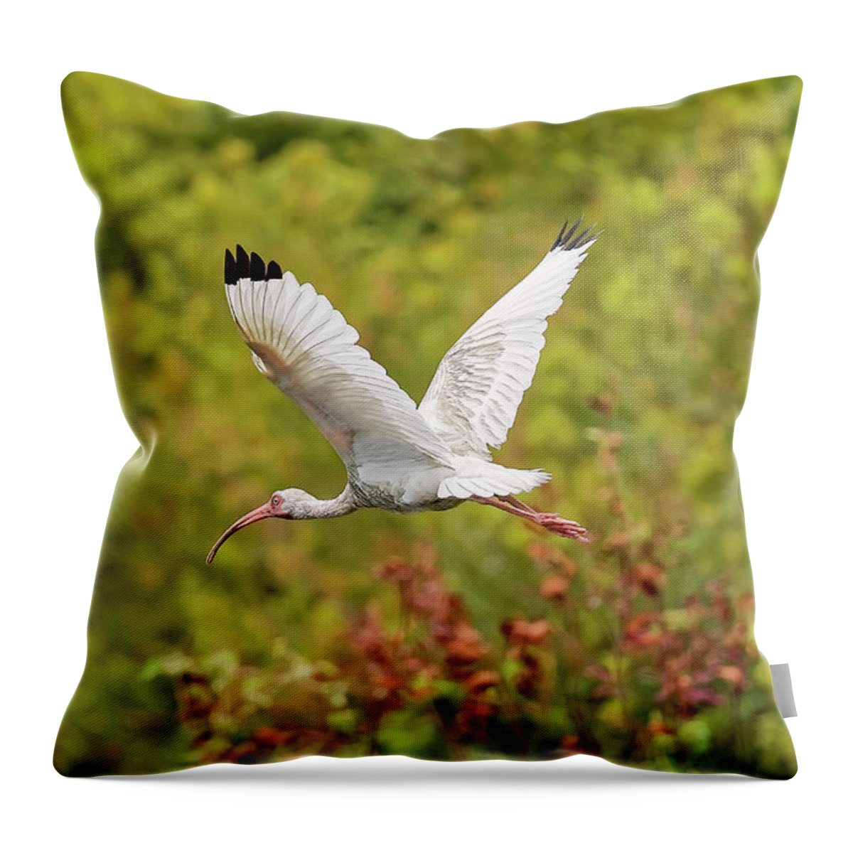 Albus Throw Pillow featuring the photograph White Ibis in Hilton Head Island #1 by Peter Lakomy