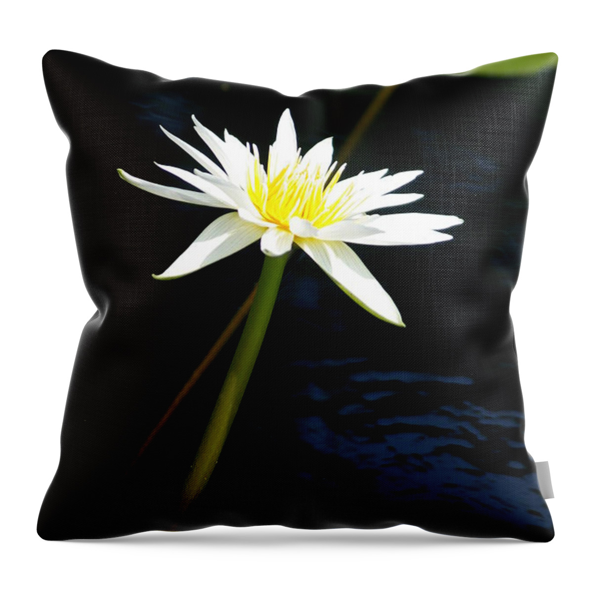 Yellow Throw Pillow featuring the photograph White Lotus Waterlily #1 by Jackie Irwin