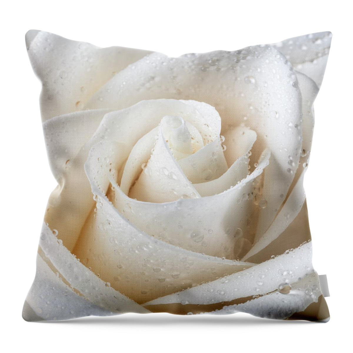 White Throw Pillow featuring the photograph White Rose With Dew #1 by Garry Gay