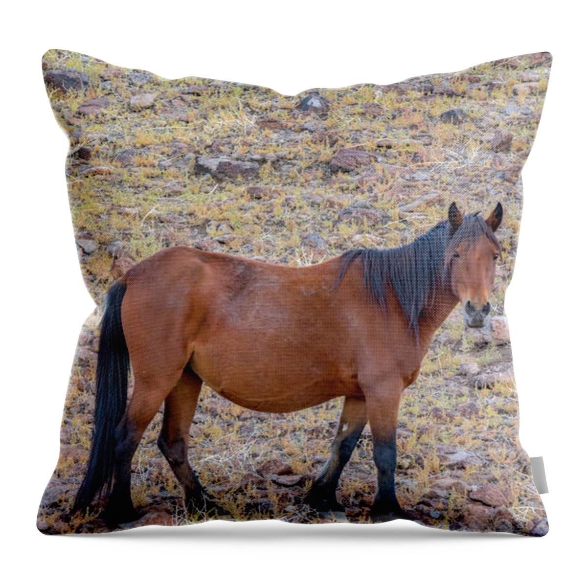 Mustang Throw Pillow featuring the photograph Wild Mustang #1 by LeeAnn McLaneGoetz McLaneGoetzStudioLLCcom