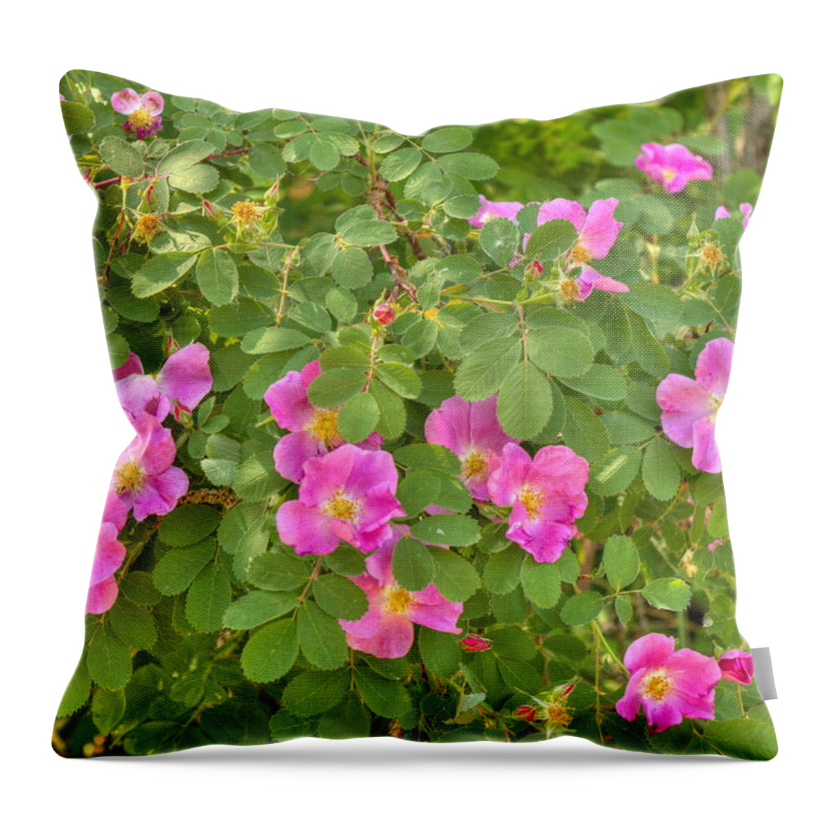 Roses Throw Pillow featuring the photograph Wild Roses #1 by Jim Sauchyn