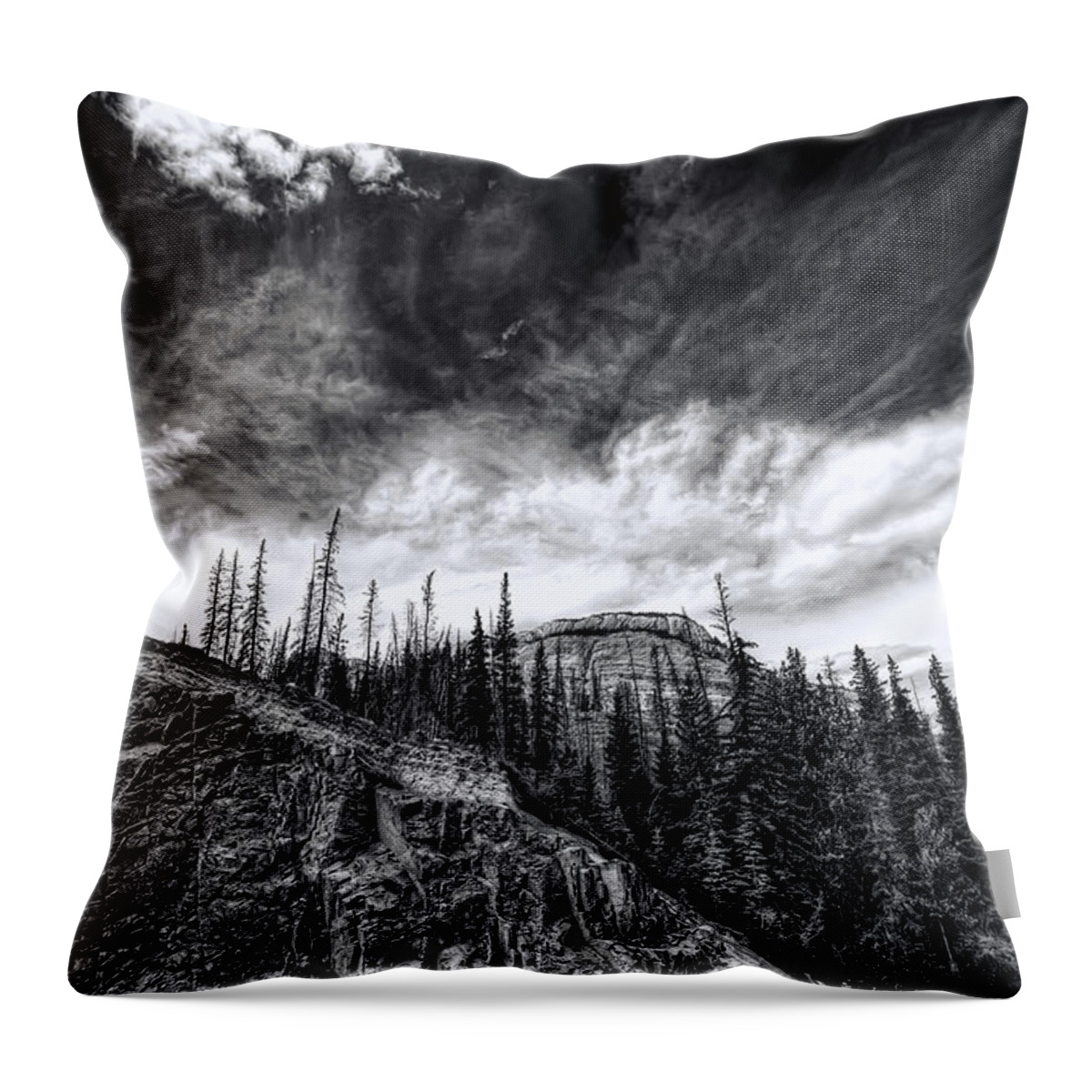 Beauty Throw Pillow featuring the photograph Wilderness by Wayne Sherriff