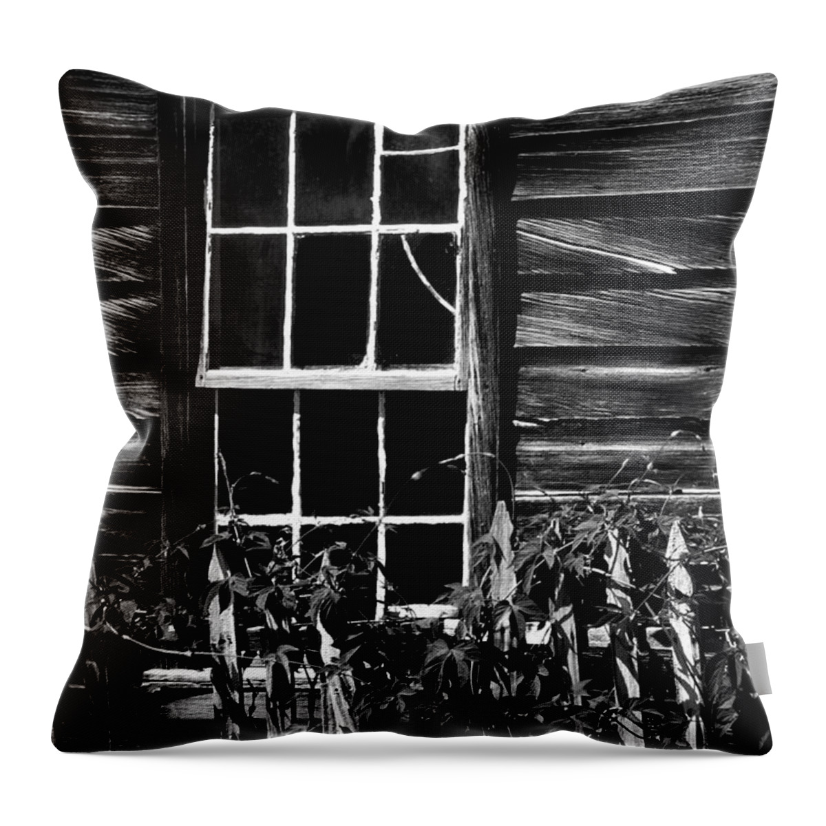 Bodie Throw Pillow featuring the photograph Window and Ivy #1 by Paul W Faust - Impressions of Light