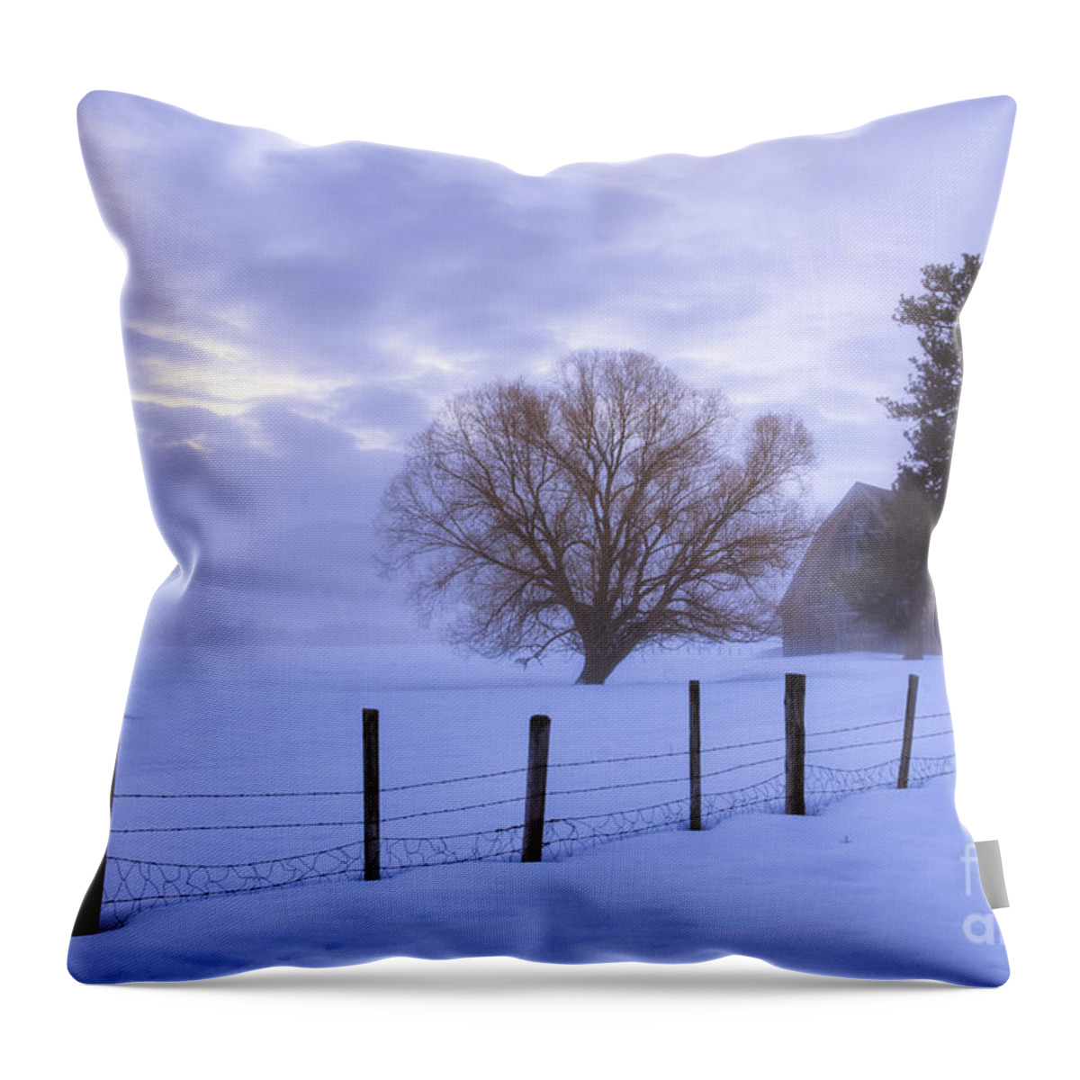 Winter Throw Pillow featuring the photograph Winter Atmosphere #1 by Idaho Scenic Images Linda Lantzy