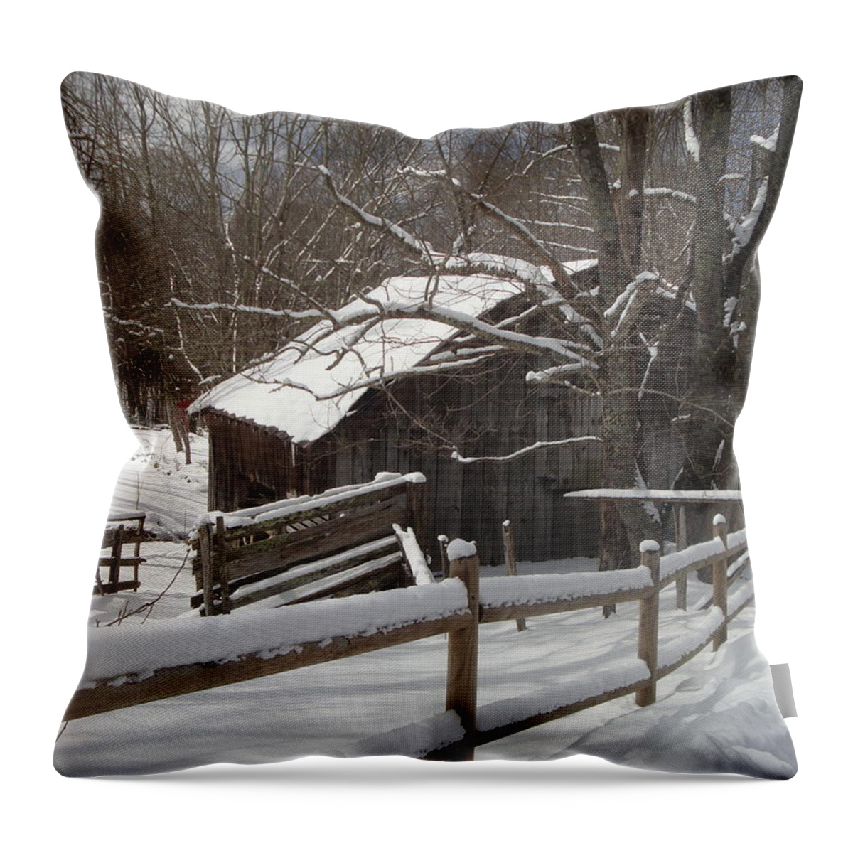 Snow Throw Pillow featuring the photograph Winter Barn #1 by Bill TALICH