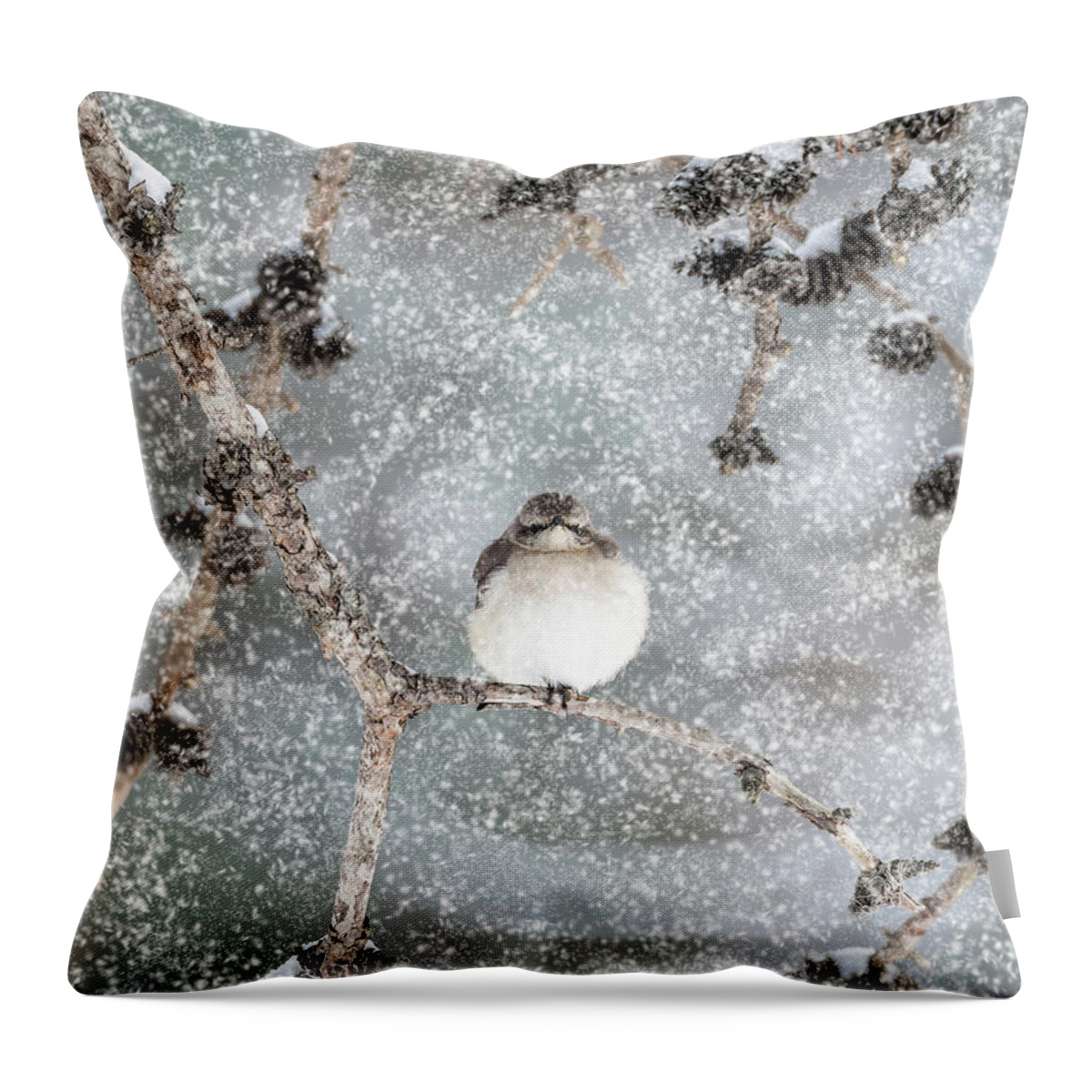 Mockingbird Throw Pillow featuring the photograph Winter Mockingbird #1 by Patrick Wolf