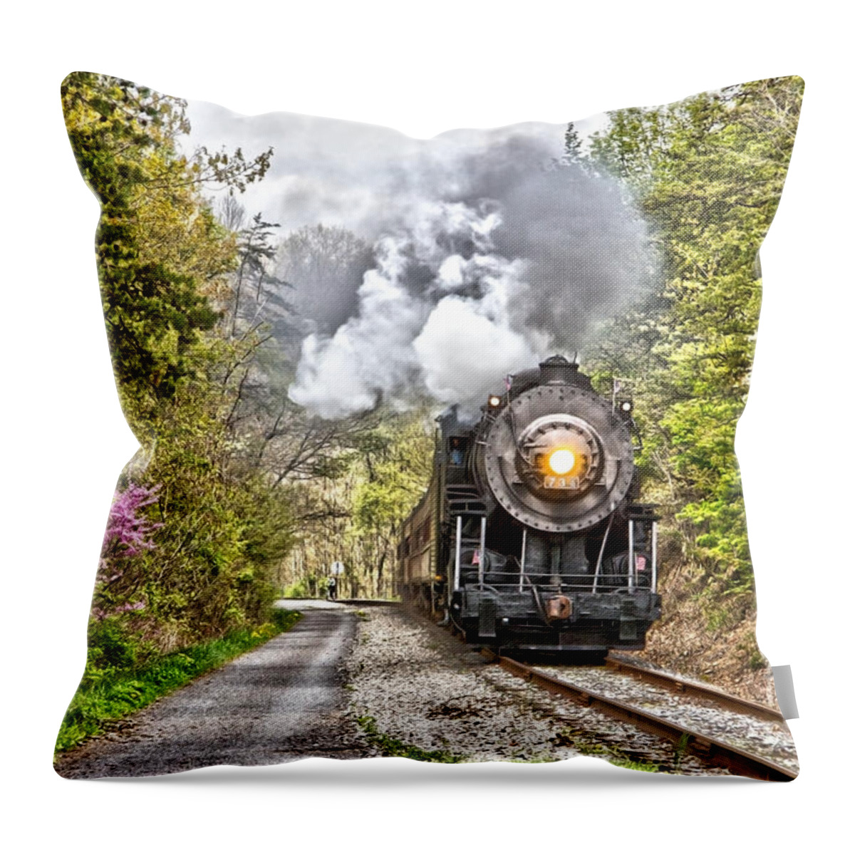 Wmsr Throw Pillow featuring the photograph WMSR Steam Engine 734 by Jeannette Hunt