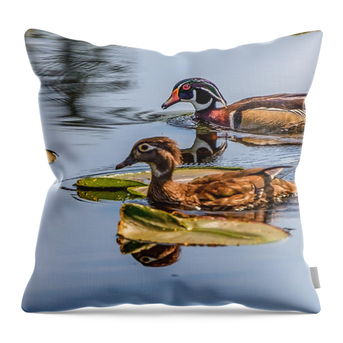 Wood Ducks Throw Pillow featuring the photograph Wood Duck Pair #1 by Jerry Cahill