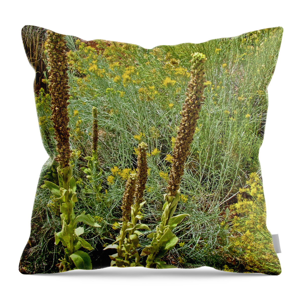Wooly Mullein In Red Canyon In Dixie National Forest Throw Pillow featuring the photograph Wooly Mullein in Red Canyon in Dixie National Forest, Utah #1 by Ruth Hager