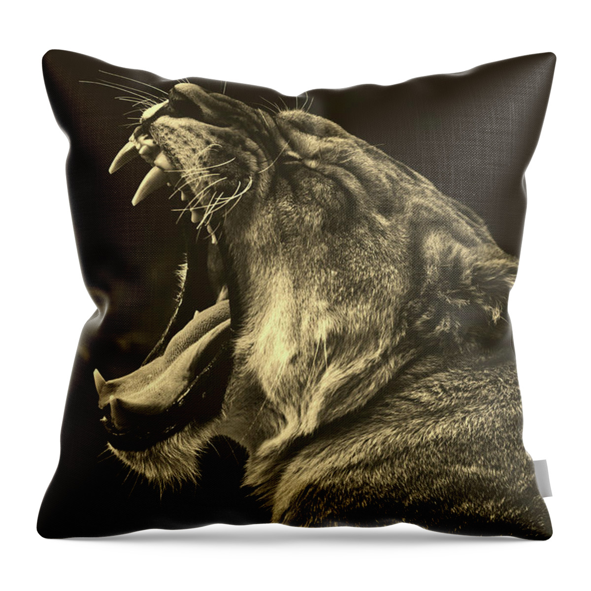 Lion Throw Pillow featuring the photograph Yawning Lion #1 by Mountain Dreams