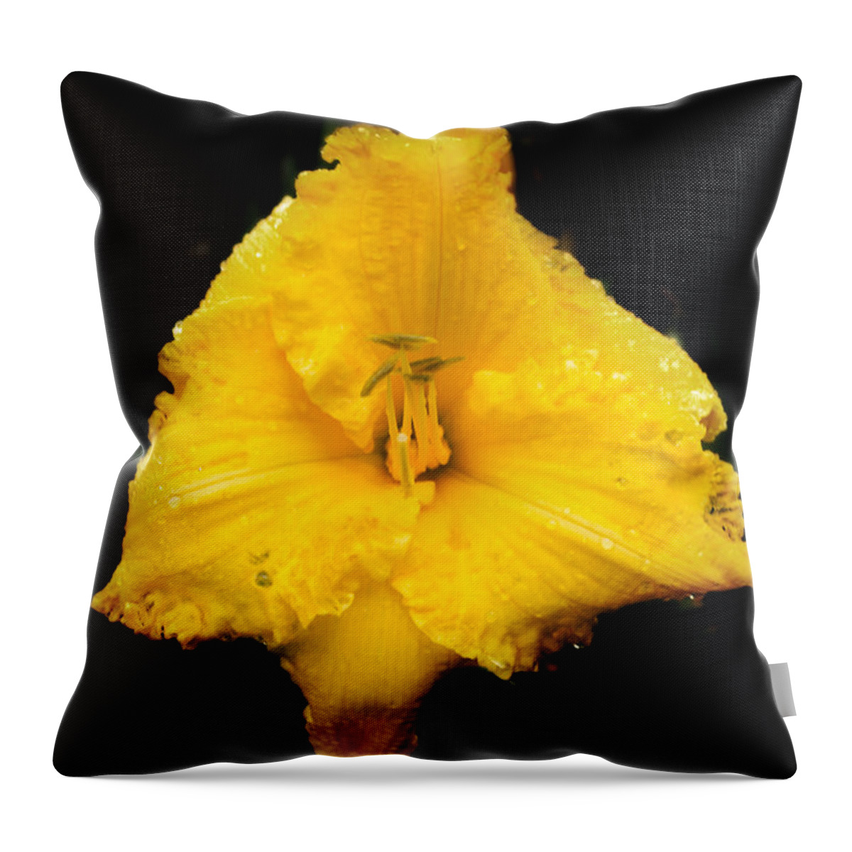 Lily Throw Pillow featuring the photograph Yellow Lily #1 by Kevin Fortier