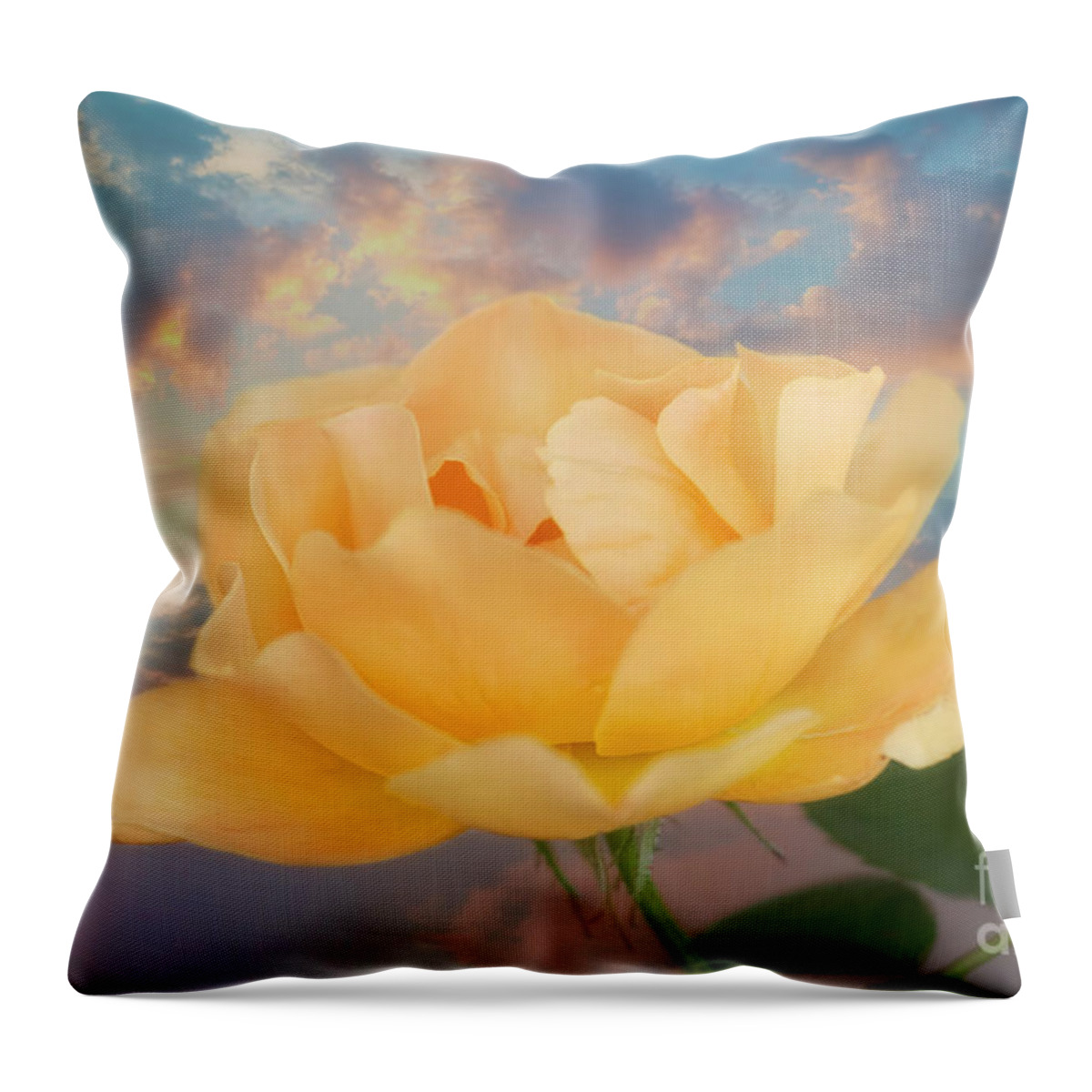 Rose Throw Pillow featuring the photograph Yellow Rose of Texas #2 by Joan Bertucci