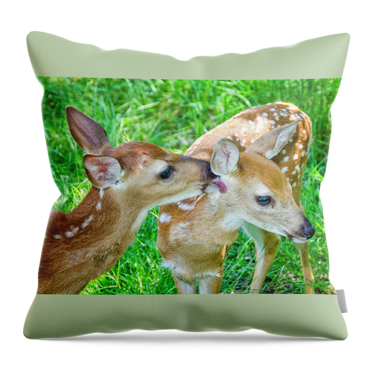 Fawns Throw Pillow featuring the photograph You Missed a Spot #1 by Peg Runyan
