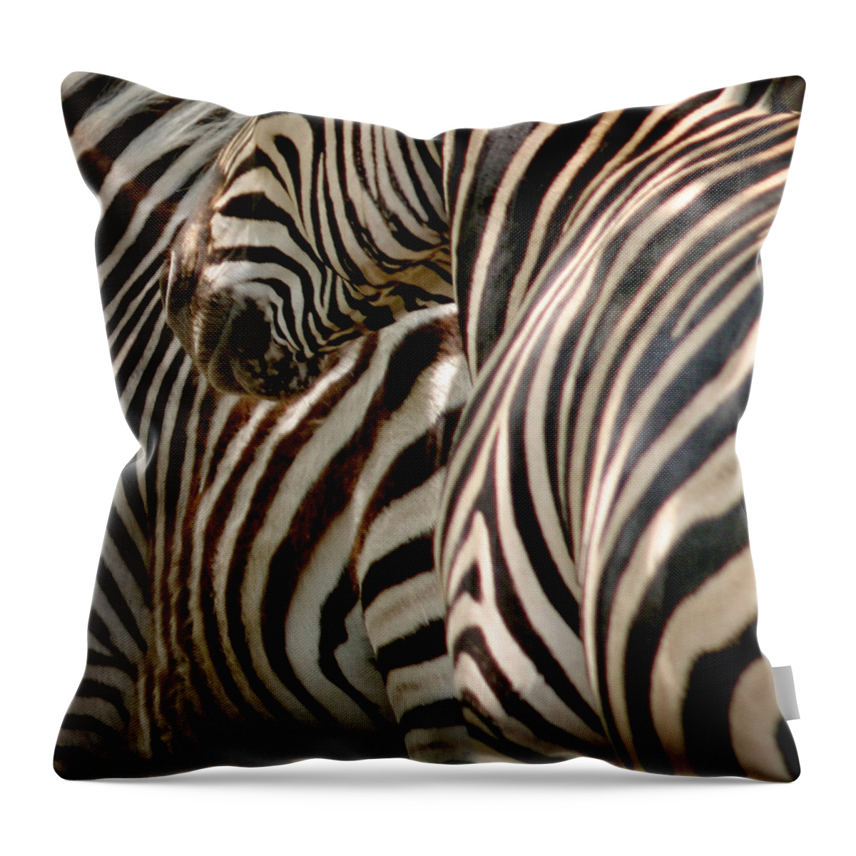 Plains Zebra Throw Pillow featuring the photograph Zebra Stripes #1 by Joseph G Holland