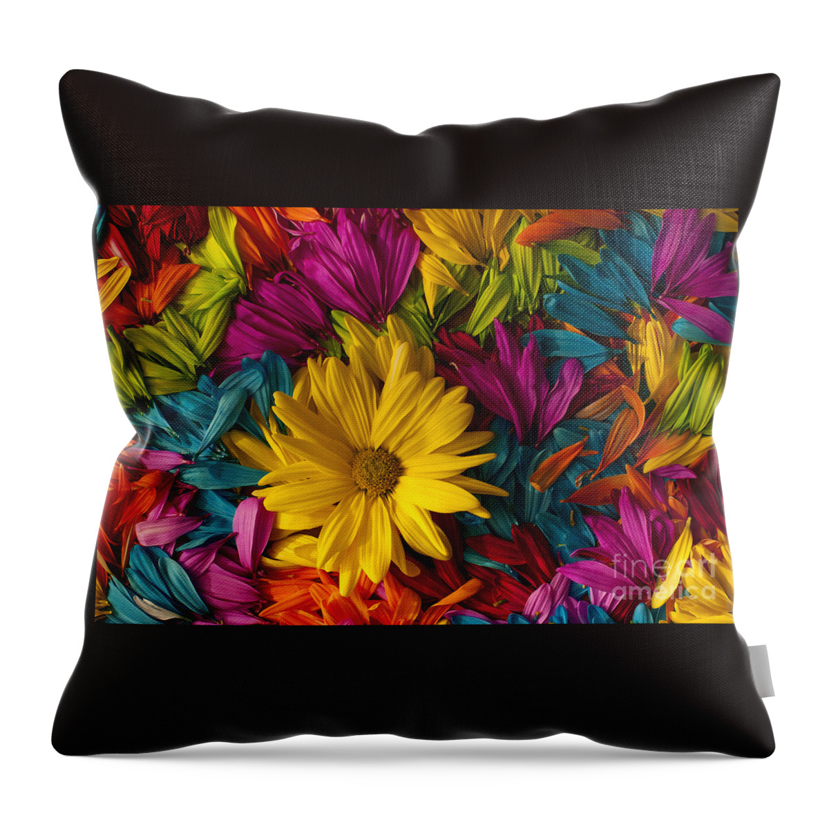 Abstract Throw Pillow featuring the photograph Daisy Petals Abstracts #10 by Jim Corwin