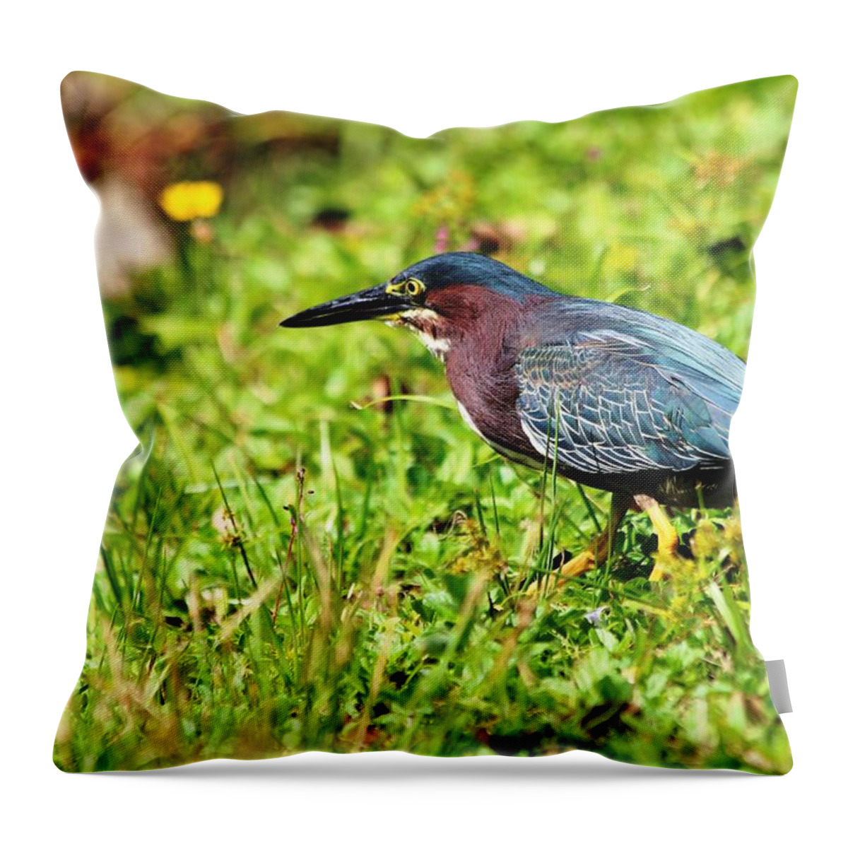 Wild Bird Throw Pillow featuring the photograph Naples FL #10 by Donn Ingemie