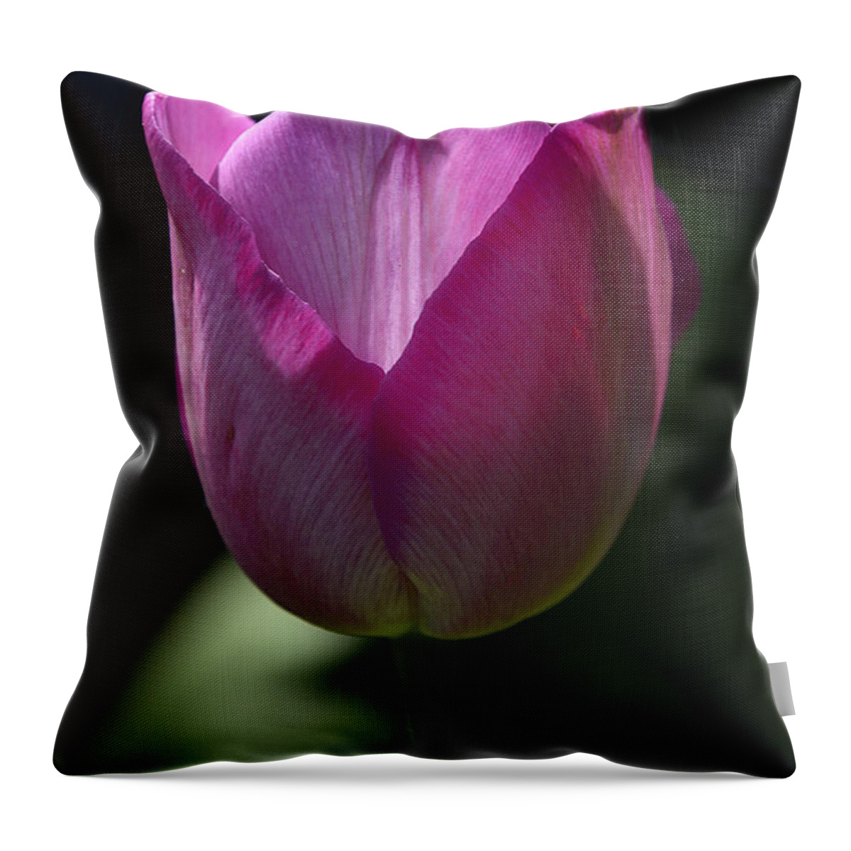 Spring Flowers 2015 Throw Pillow featuring the photograph Tulip #10 by Ti Oakva