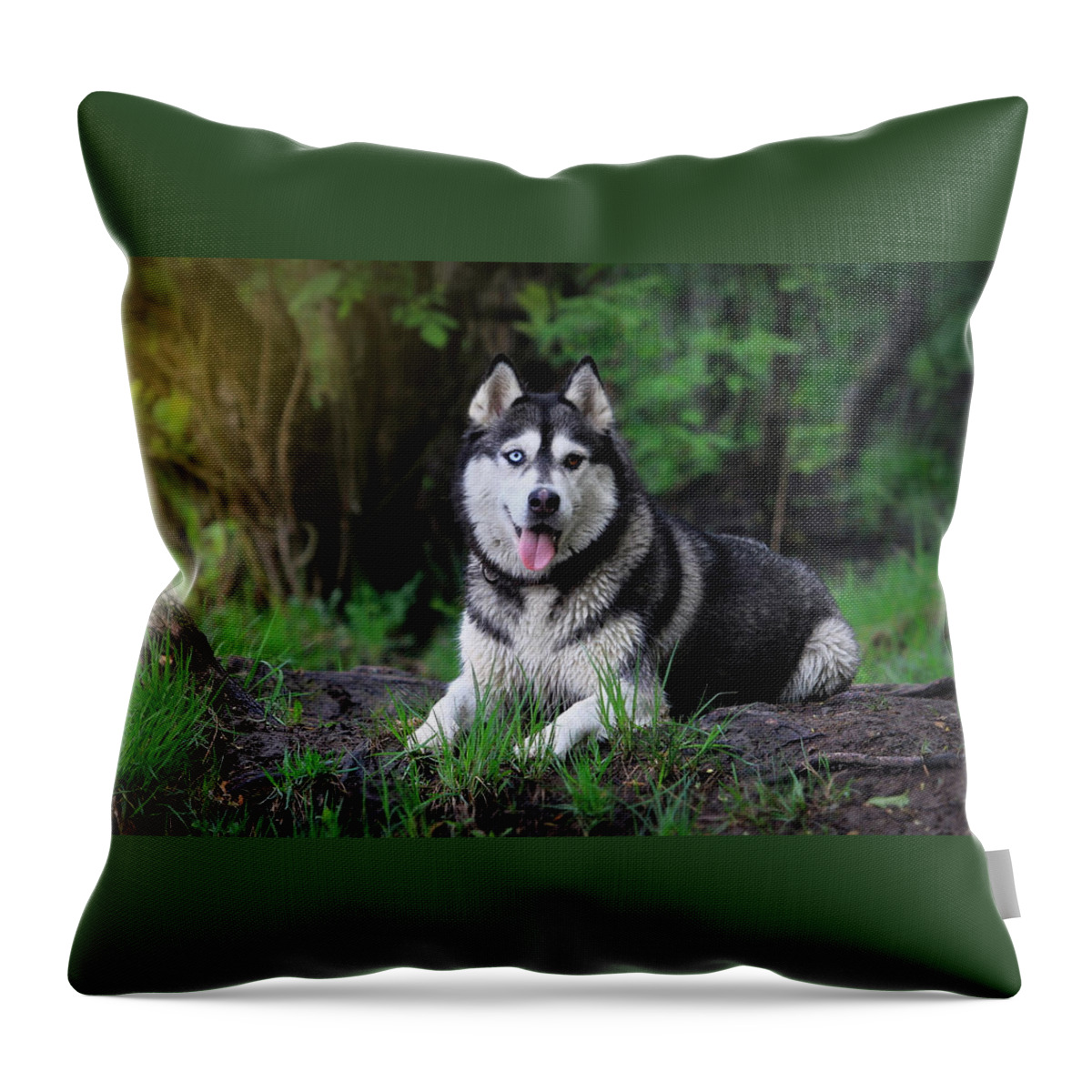 Dog Throw Pillow featuring the photograph Dog #100 by Jackie Russo
