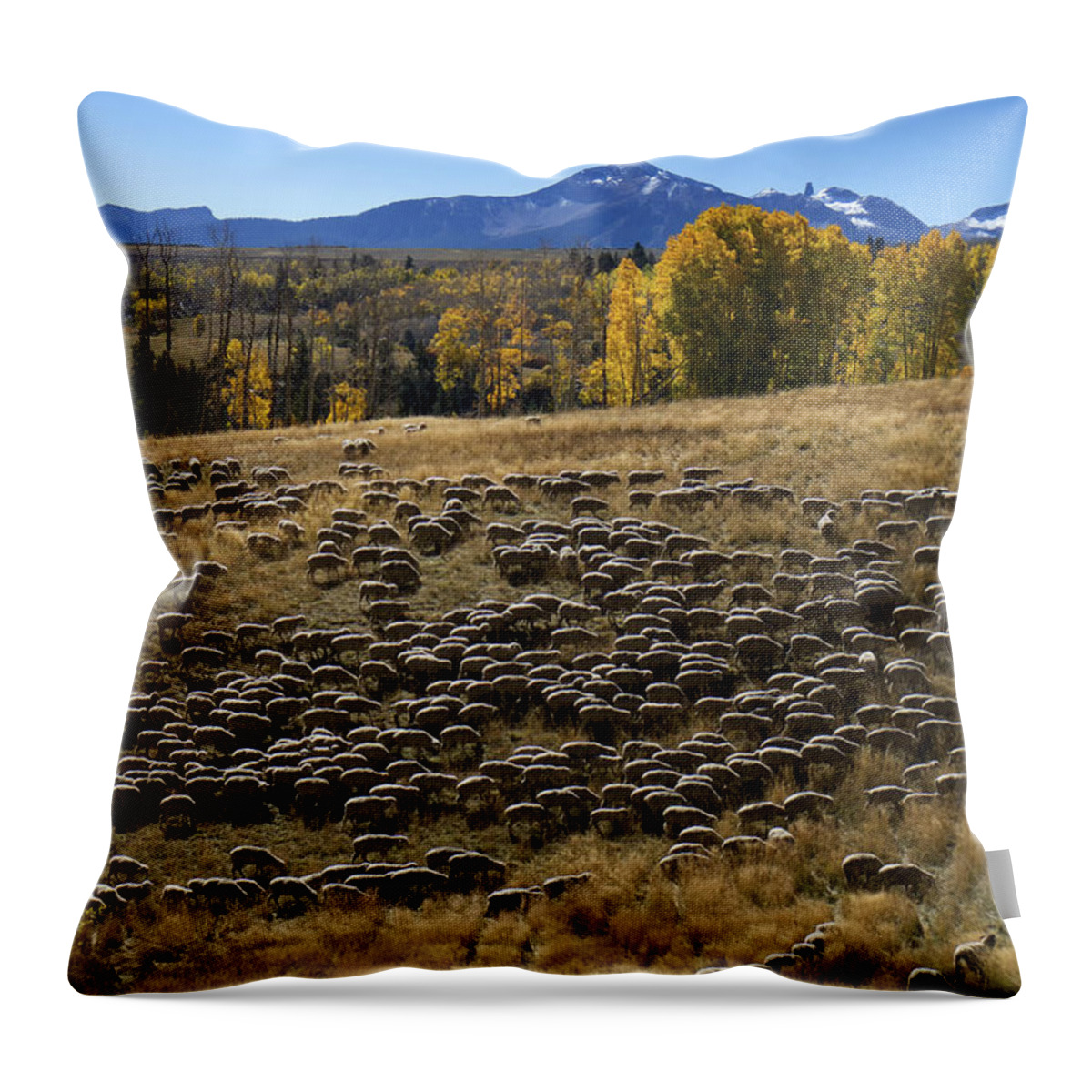 Sheep Throw Pillow featuring the photograph 1000 Sheep Above Telluride Colorado by Mary Lee Dereske