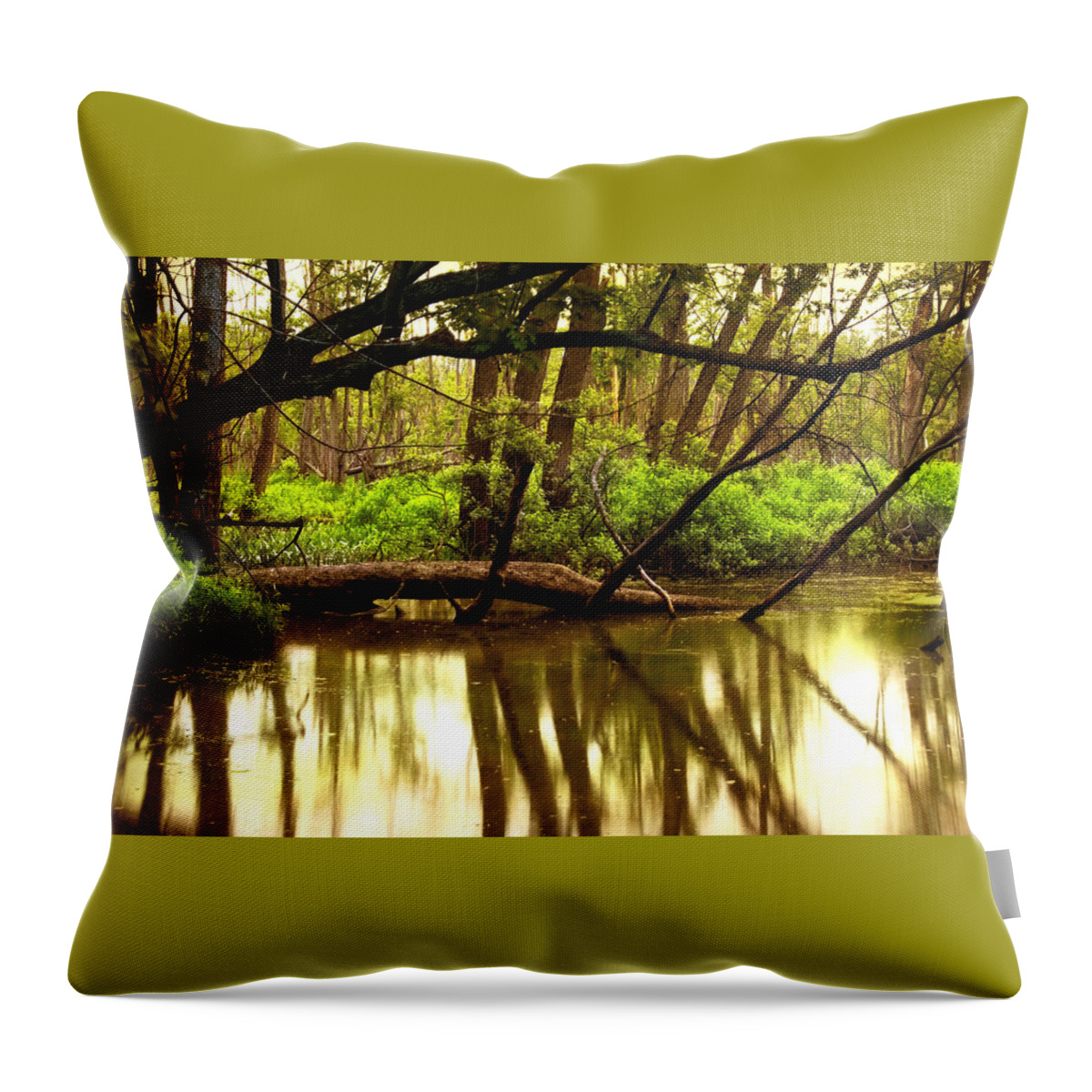 Landscape Throw Pillow featuring the photograph Landscape #107 by Mariel Mcmeeking