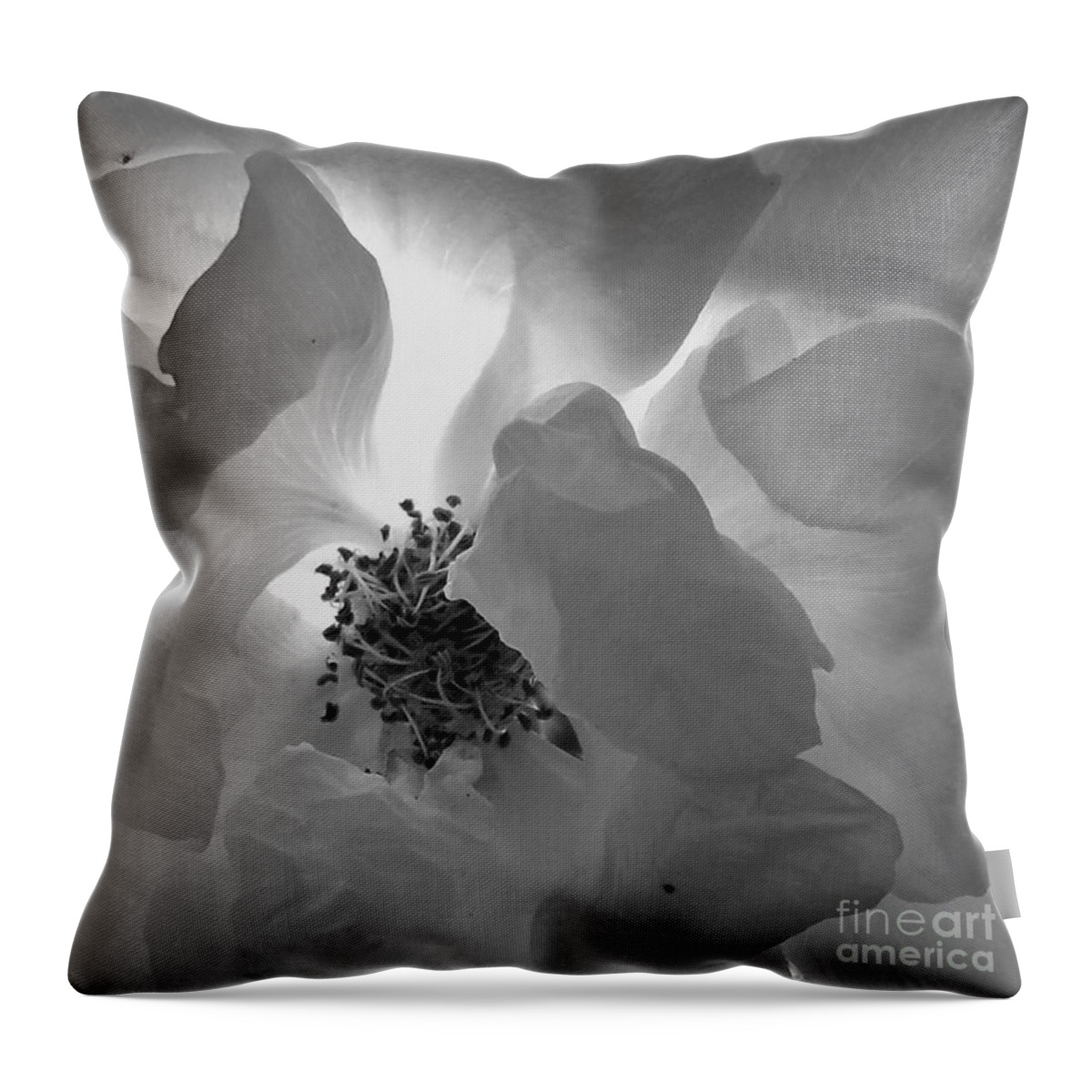 Rose Throw Pillow featuring the photograph Roses #11 by Sylvie Leandre