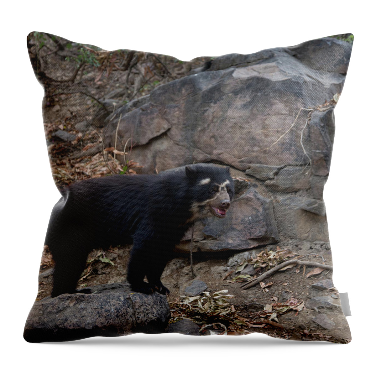 Andean Bear Throw Pillow featuring the digital art Spectacled Bears #11 by Carol Ailles