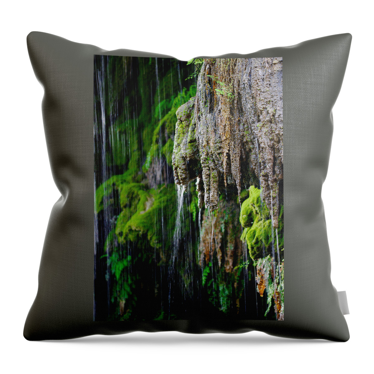 James Smullins Throw Pillow featuring the photograph Gormon falls Colorado bend state park. #13 by James Smullins