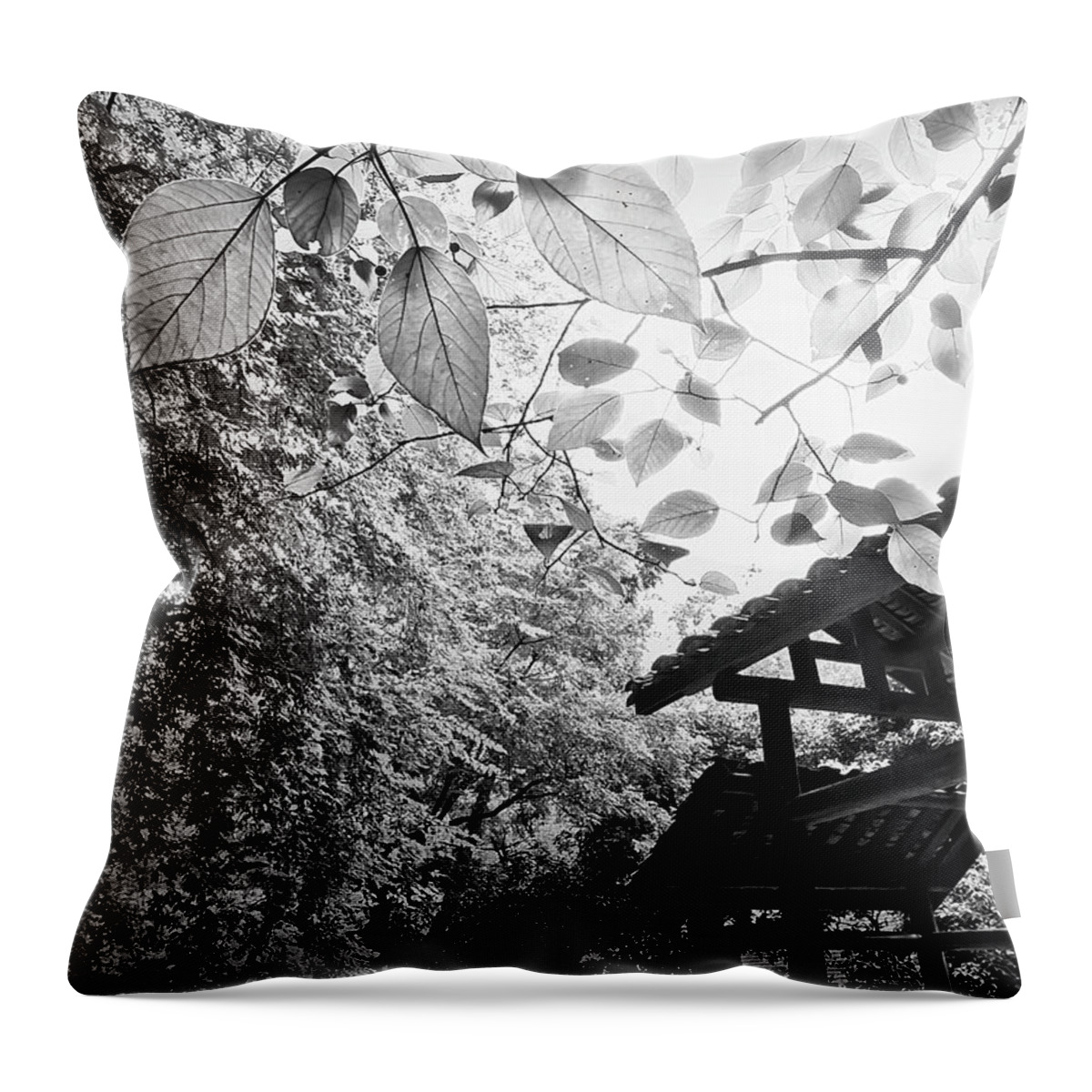 Arttopan Throw Pillow featuring the photograph Jingjiang Palace-China Guilin scenery-Black-and-white photograph #12 by Artto Pan