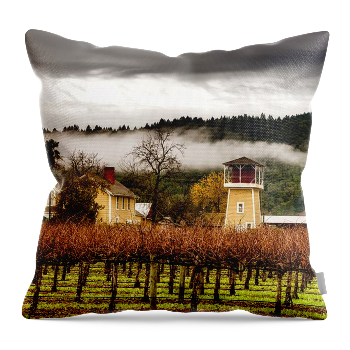 Napa Valley Throw Pillow featuring the photograph Napa Valley Vineyard #12 by Mountain Dreams