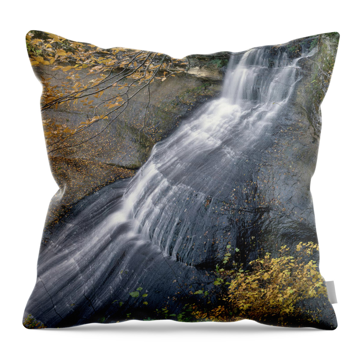 Chapel Falls Throw Pillow featuring the photograph 126225 Chapel Falls by Ed Cooper Photography