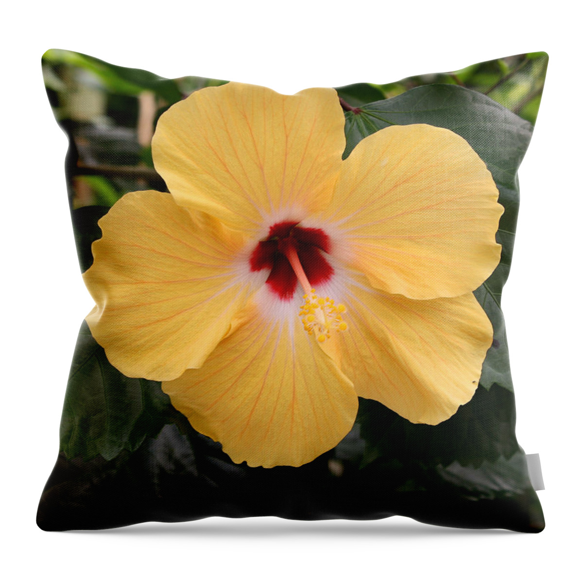 Yellow Throw Pillow featuring the photograph Cypress Gardens #14 by Ellen Tully