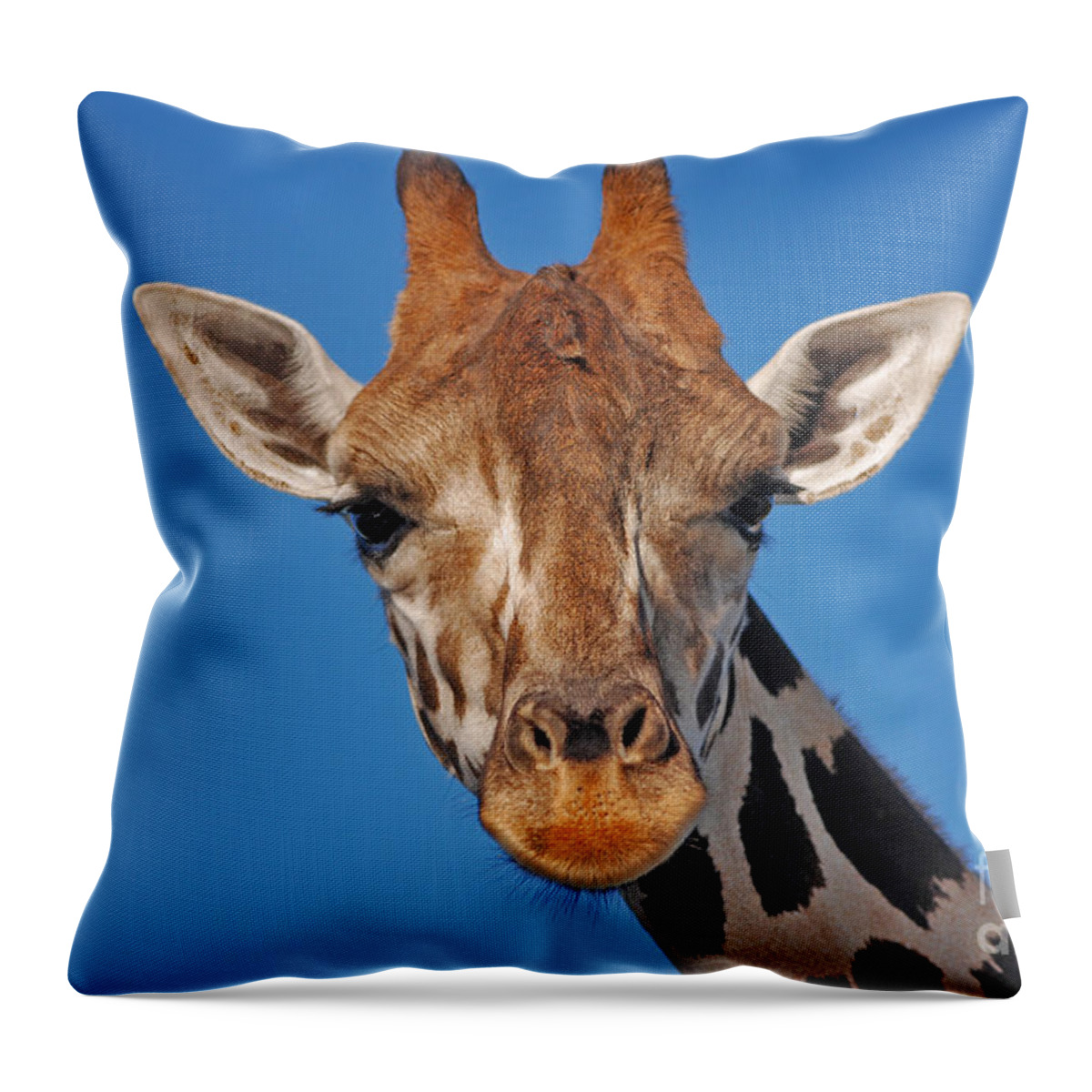 Giraffe Throw Pillow featuring the photograph 13- Giraffe by Joseph Keane