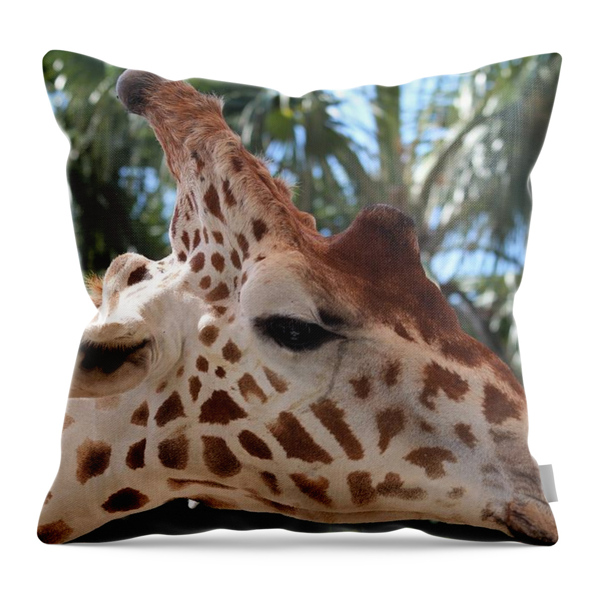 Giraffe Throw Pillow featuring the photograph Naples FL #13 by Donn Ingemie