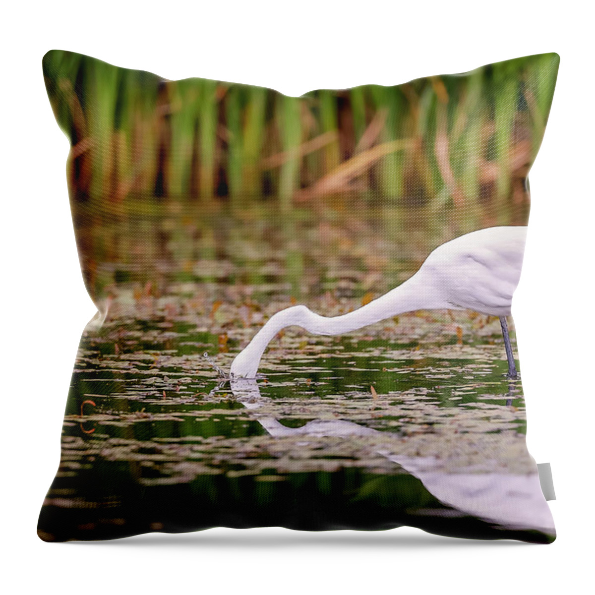 Animal Throw Pillow featuring the photograph White, Great Egret #14 by Peter Lakomy