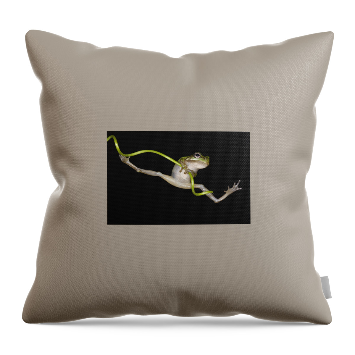 Frog Throw Pillow featuring the photograph Frog #15 by Jackie Russo