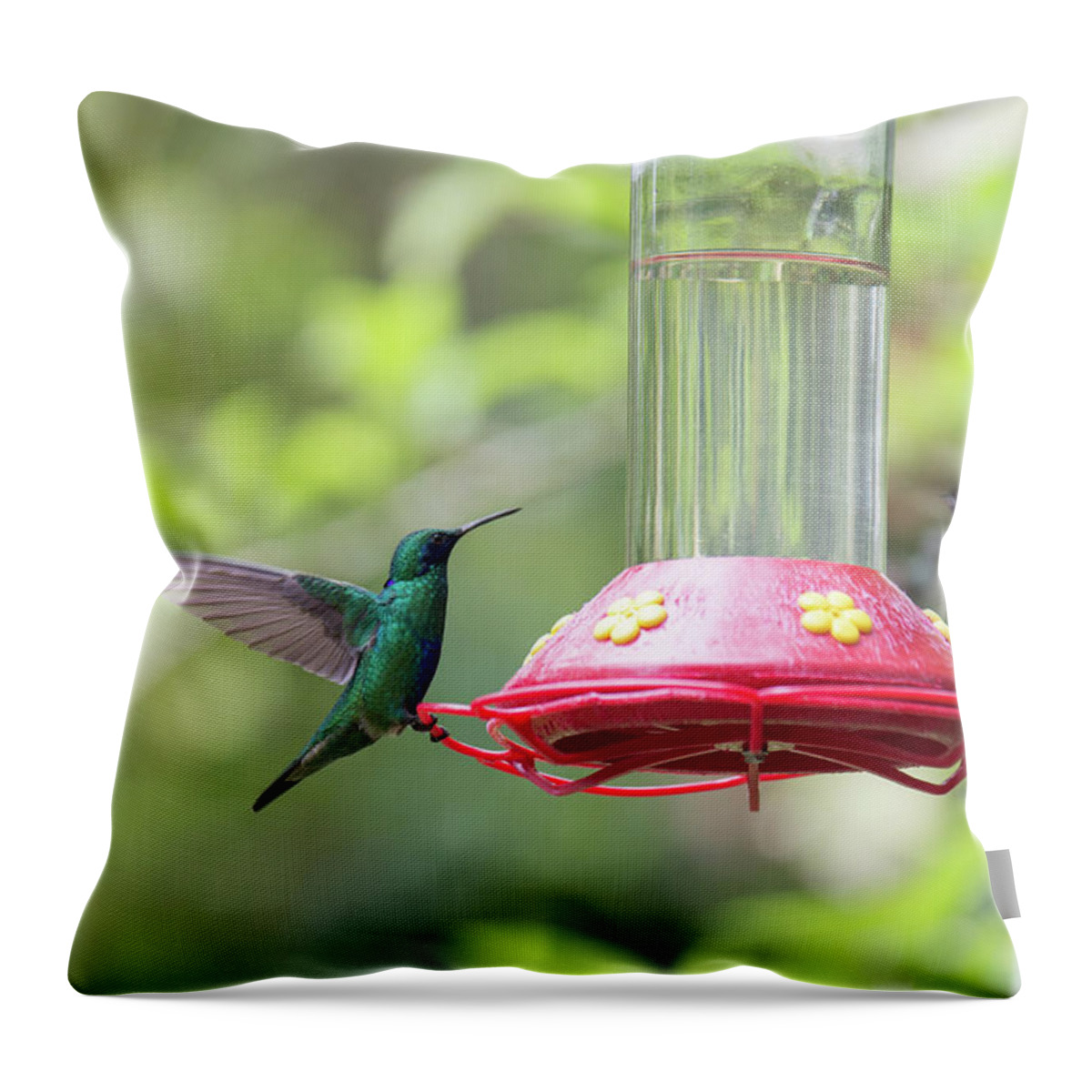 Animals Throw Pillow featuring the digital art Hummingbirds #15 by Carol Ailles